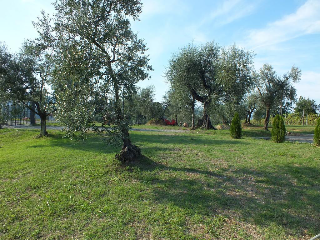 Agriturismo Ai Mandrioli Lastra a Signa Luaran gambar